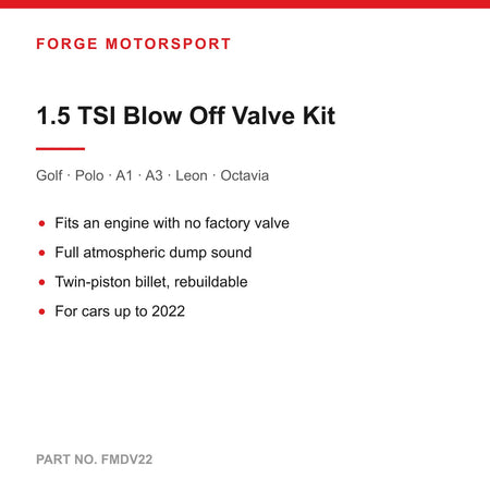 Forge FMDV22 installed in engine bay