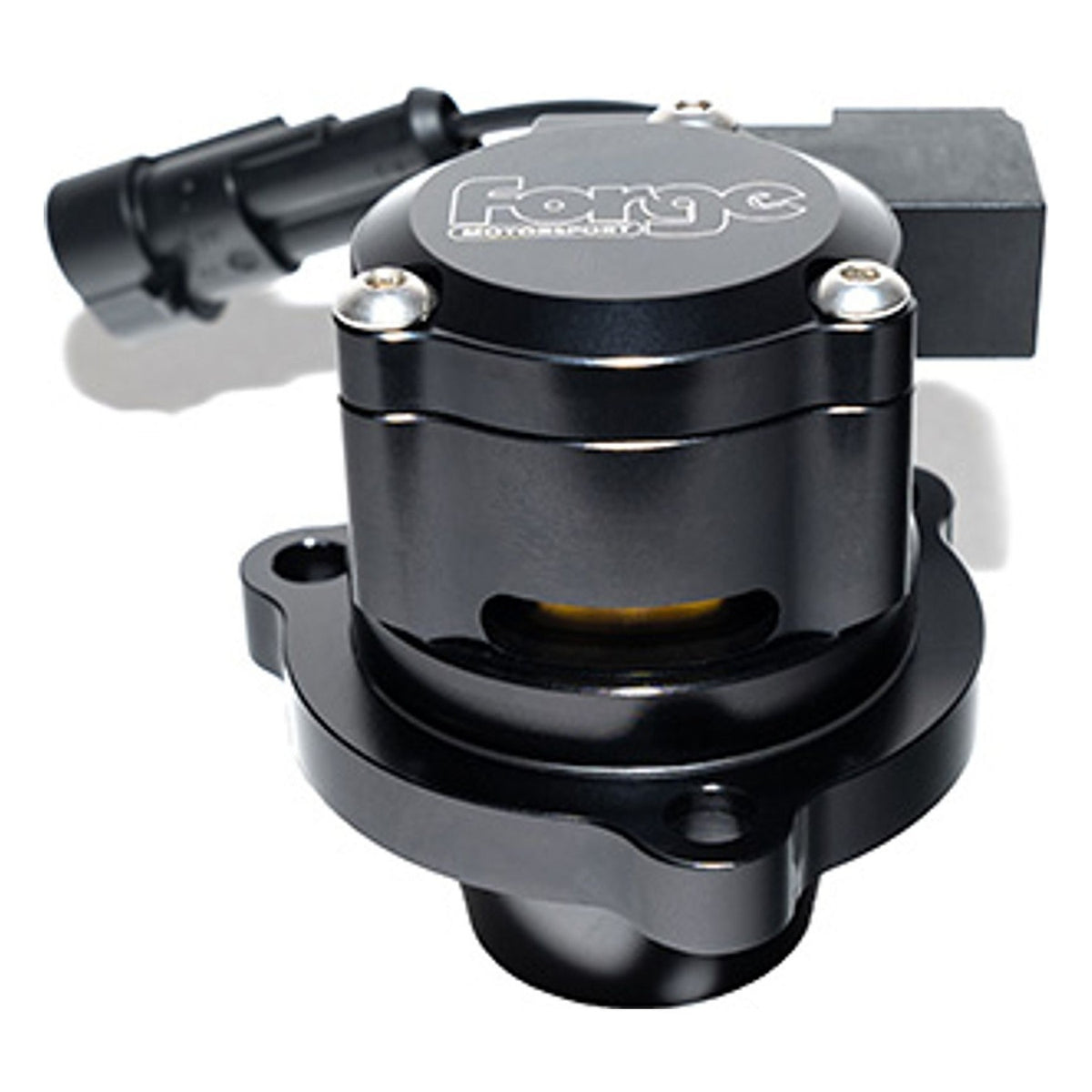 Forge E-DV valve detail
