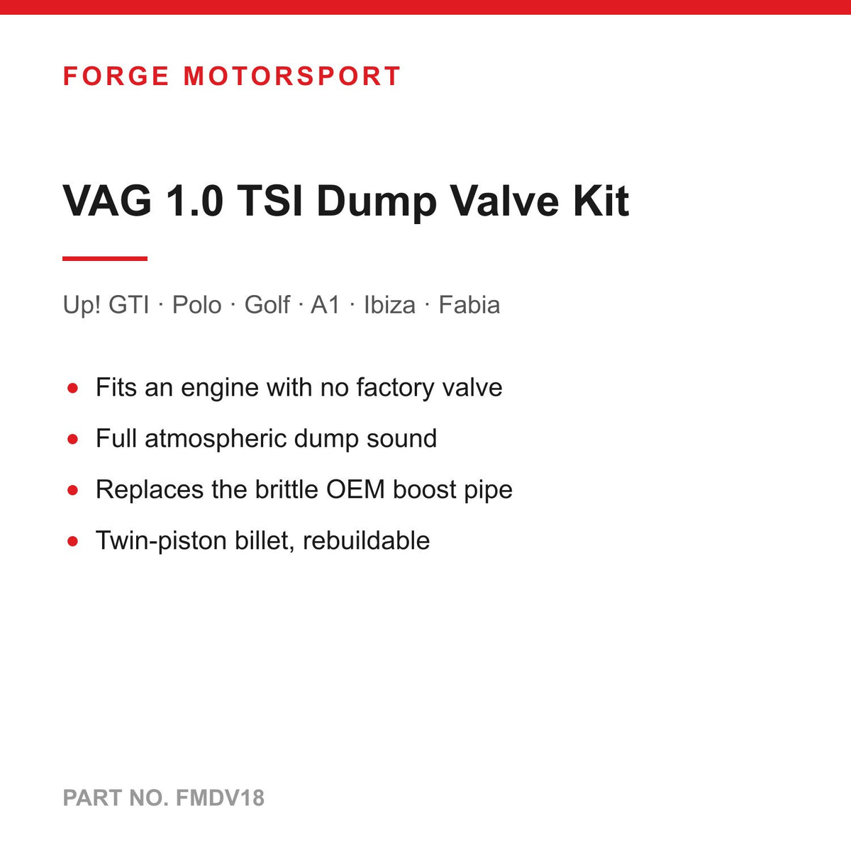 Forge FMDV18 installed in engine bay
