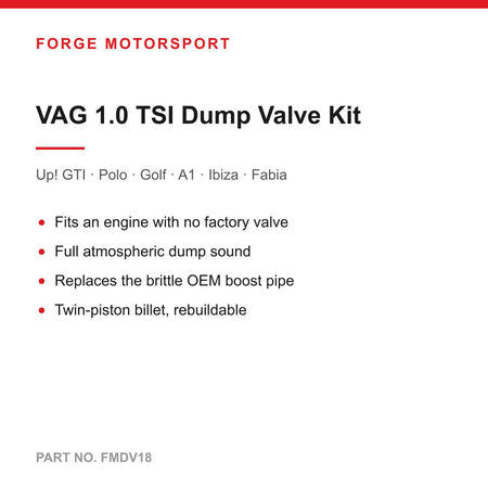 Forge FMDV18 installed in engine bay