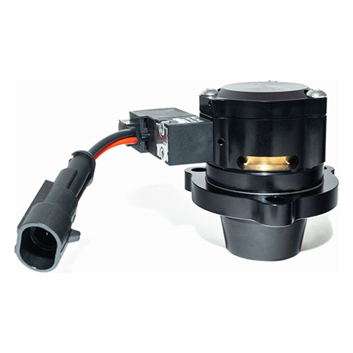 Forge E-DV components
