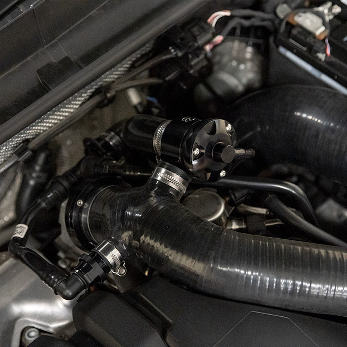 Forge FMDV30 black hose kit fitted