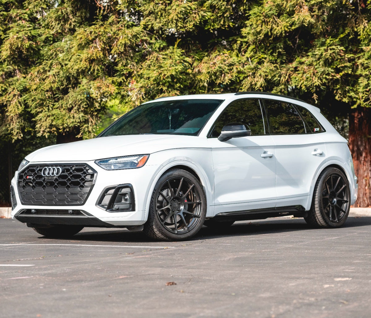 034Motorsport Dynamic+ Lowering Springs 58/50mm - Audi SQ5 FY 3.0 TFSI, Non-Air 5