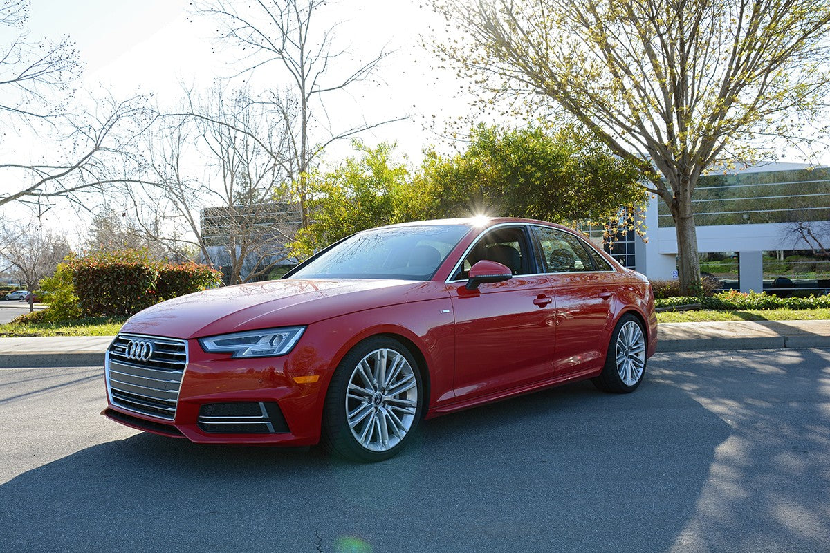 034Motorsport Dynamic+ Lowering Springs - Audi A4 B9 Saloon & allroad quattro 5