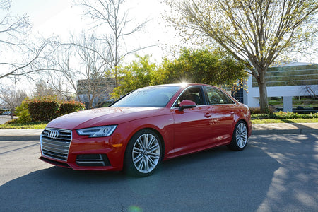 034Motorsport Dynamic+ Lowering Springs - Audi A4 B9 Saloon & allroad quattro 5